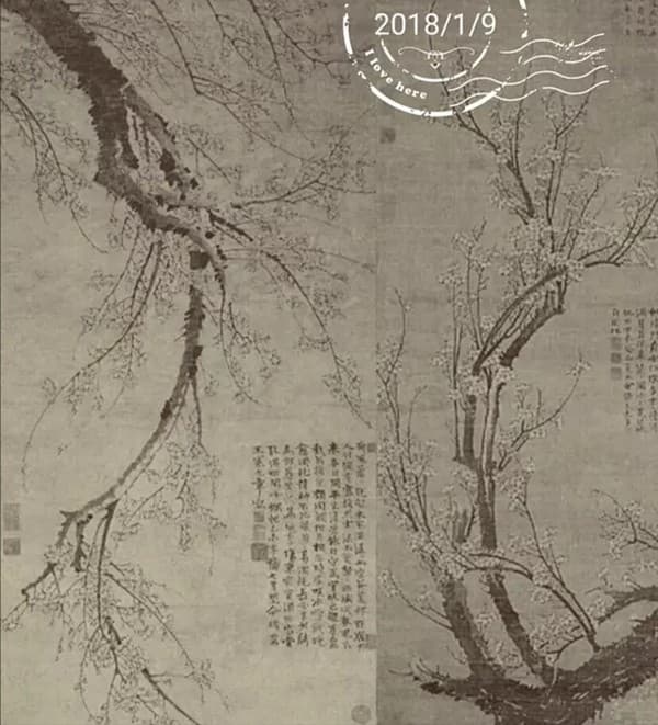 王冕推动了中国没骨写意花鸟画的发展