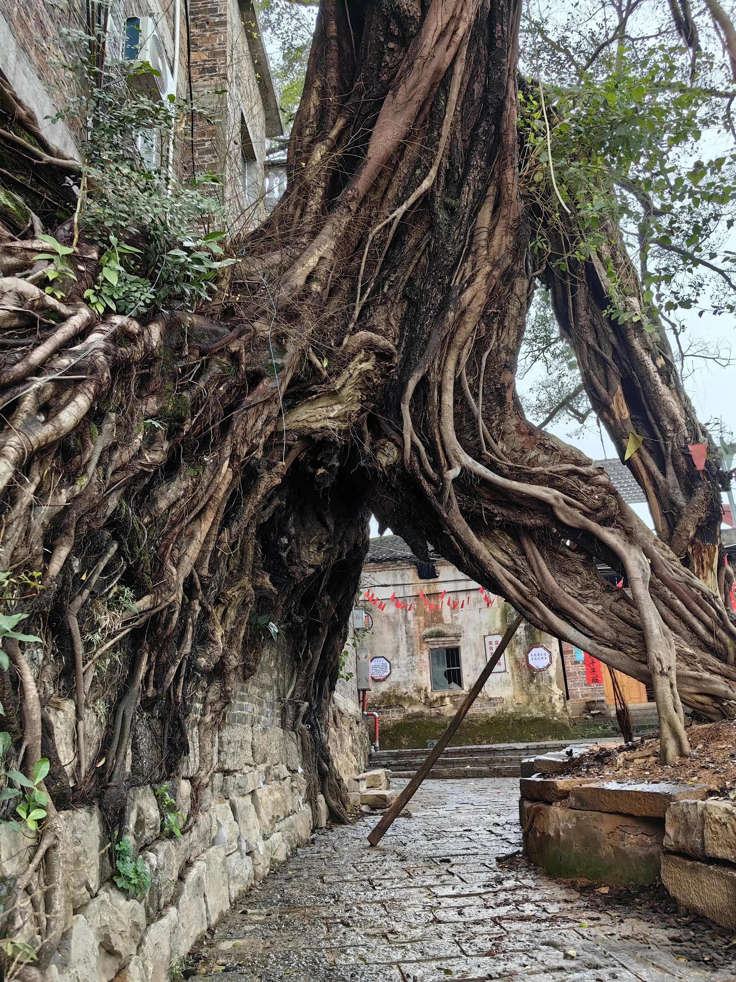 桂林平乐：小众旅游胜地的自然人文之美