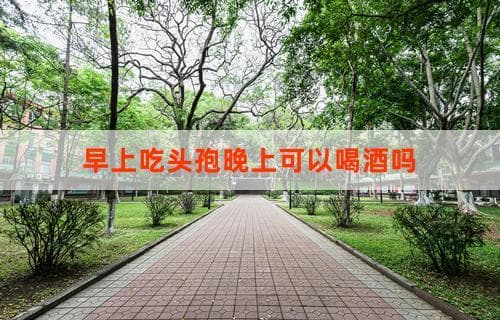 早上吃头孢晚上可以喝酒吗？解读药物与酒精的相互作用