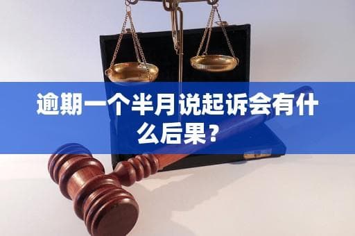逾期一个半月说起诉会有什么后果？
