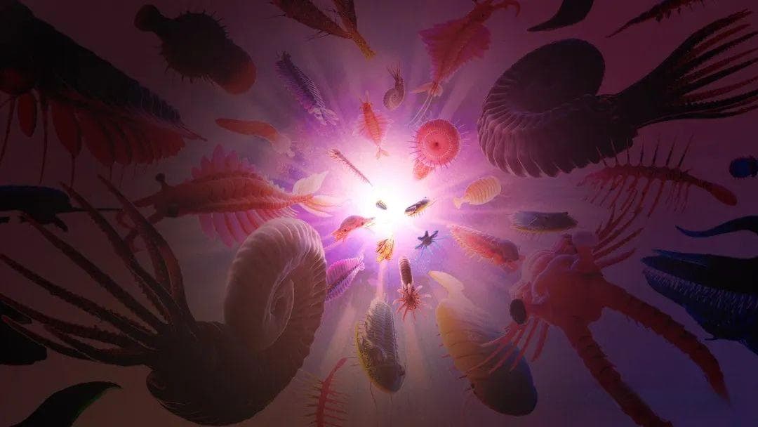 李飞飞揭秘创业方向“空间智能”：视觉化为洞察，看见成为理解，理解导致行动...