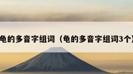 “龟”字的三个读音及其组词详解