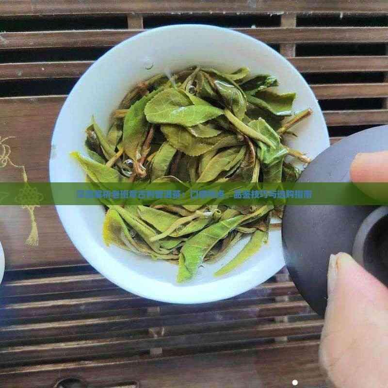 深度解析老班章古树普洱茶：口感特点、品鉴技巧与选购指南