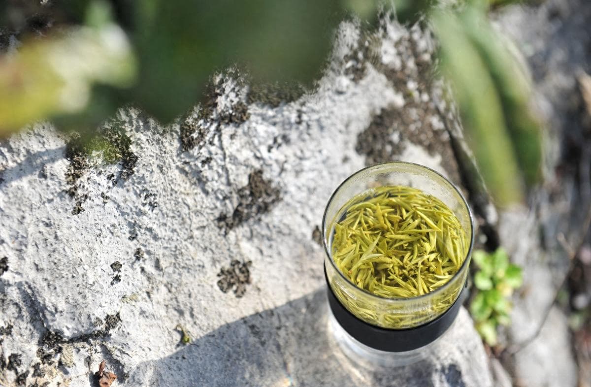 绿茶的冲泡有哪几种投茶方式？怎么才能泡出一杯色绿味浓的香茗？
