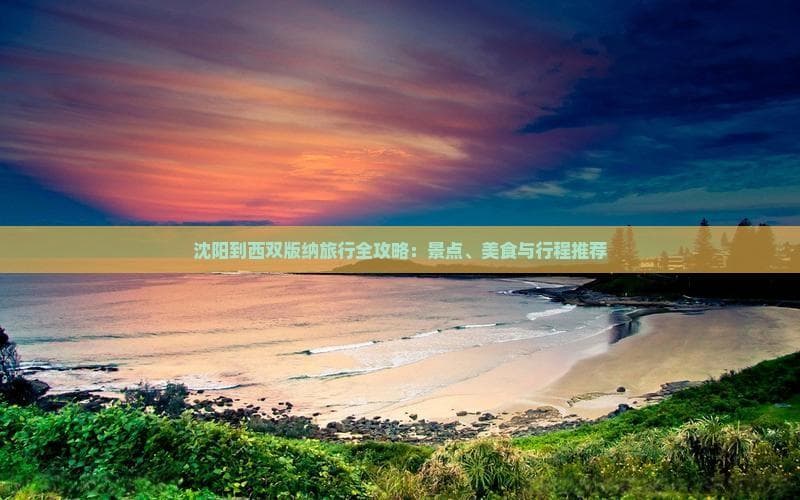 沈阳到西双版纳旅行全攻略：景点、美食与行程推荐