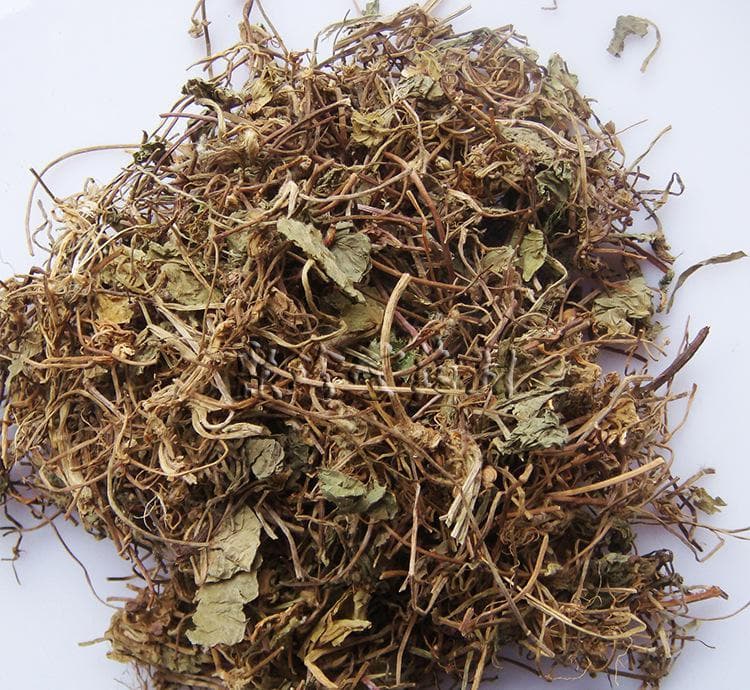 积雪草的功效与作用及禁忌_副作用_用法用量