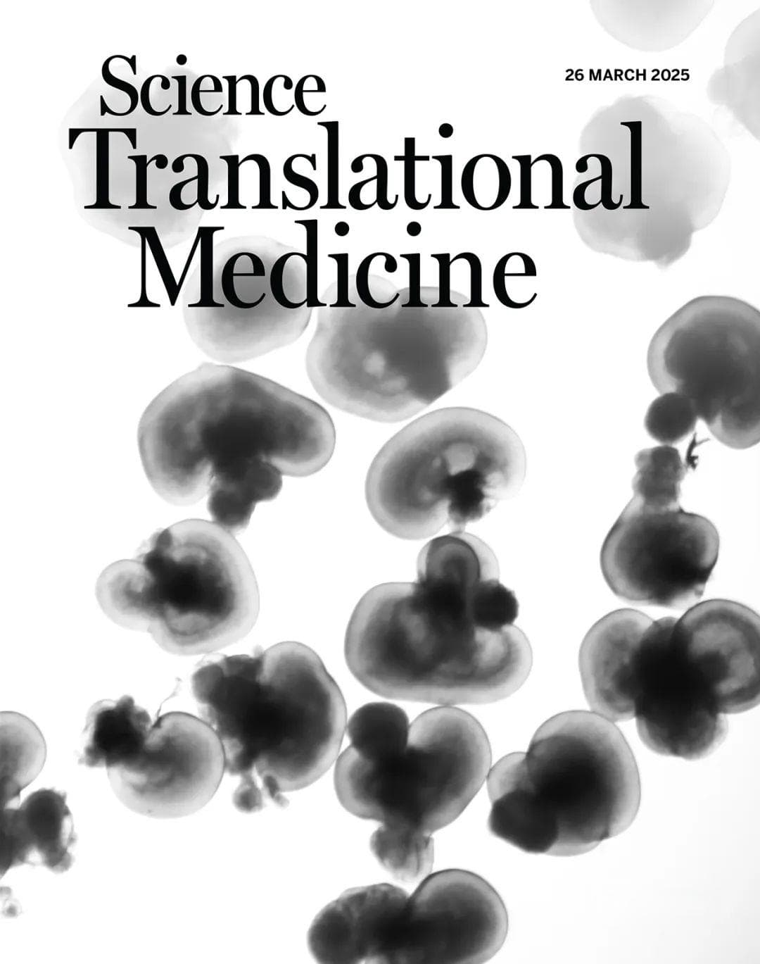 Science子刊封面论文：人类视网膜干细胞，具有修复视力丧失的潜力