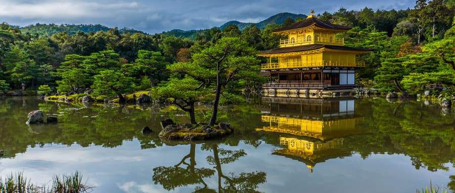 惠评文旅|大S日本流感病逝引发退订潮：从反脆弱理论看日本旅游市场的韧性