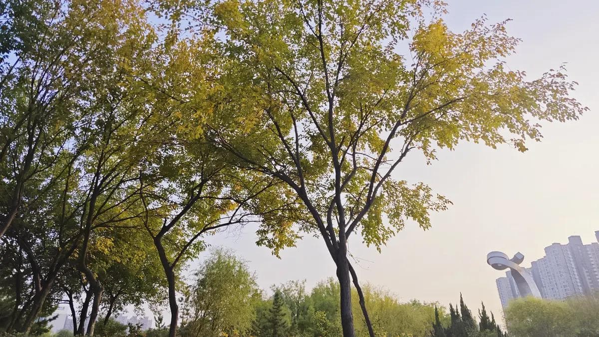 《道德经》“知其白，守其黑，为天下式”的深邃寓意