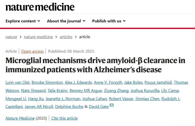 Nature Medicine：破解记忆消亡密码：小胶质细胞的逆袭之战