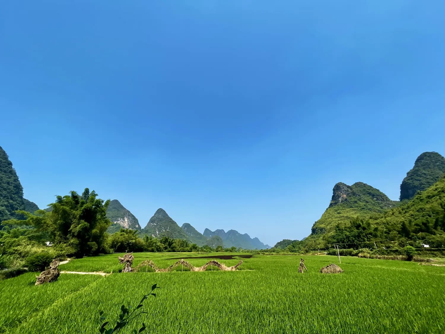 华昱三生与巴马寿乡：生态保护与旅游开发的双赢实践
