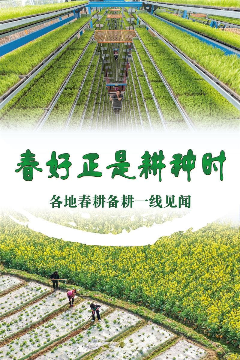 稳面积提单产保质量，全国春耕备耕工作有序推进