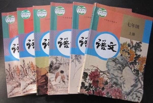 2024年山东省初中语文中考试题分析