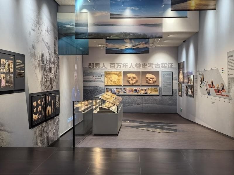 "百万年人类史"专题展：泥河湾遗址群与学堂梁子遗址揭示东方人类演化密码