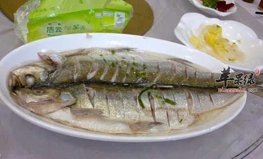 白鱼的营养价值与多种美味做法