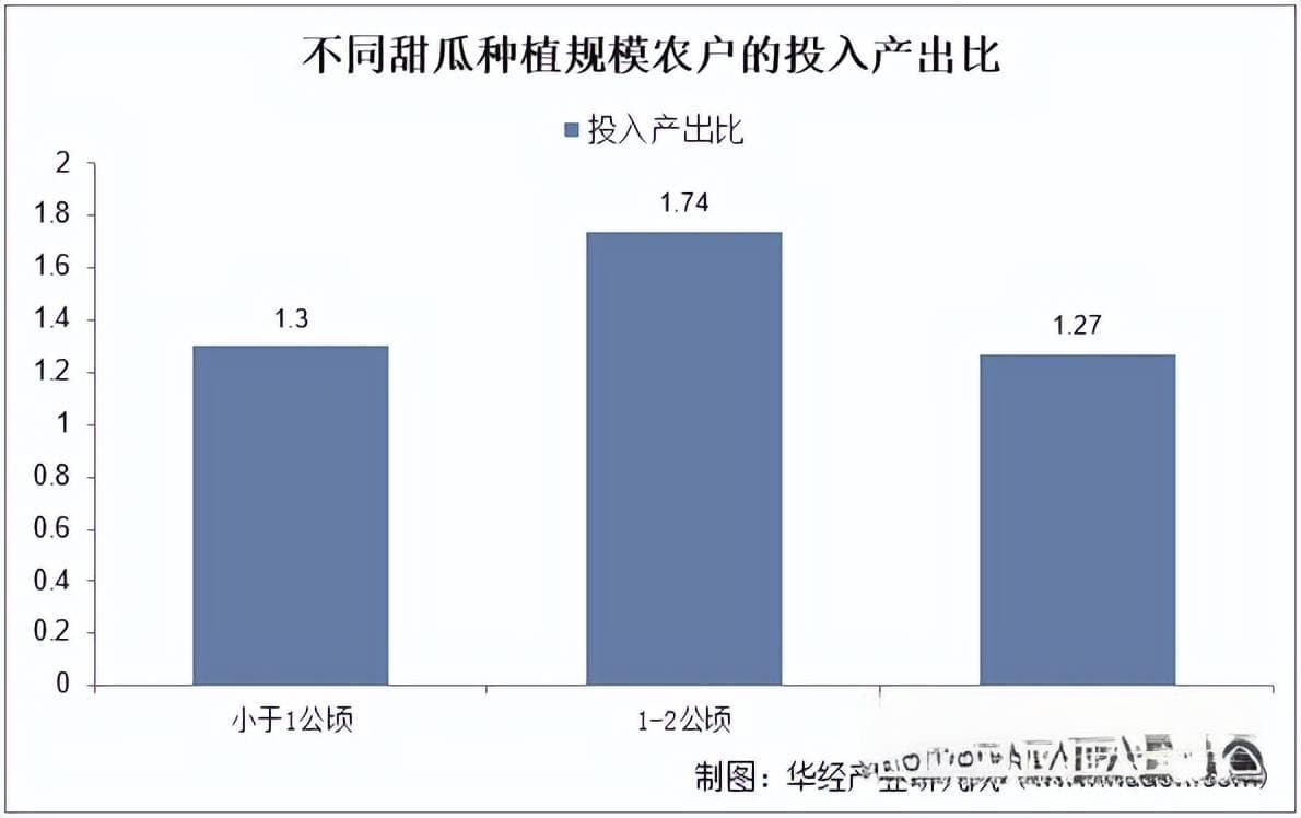 2025年中国甜瓜分类情况、政策背景及产业链分析