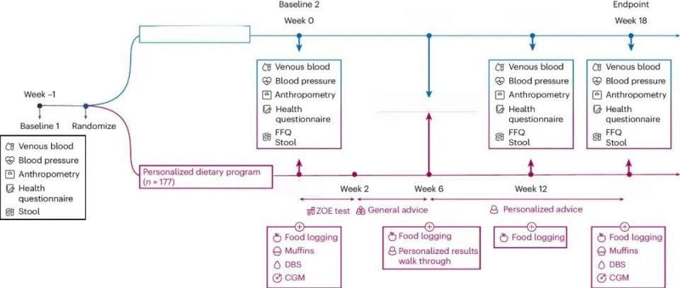 Nature Medicine最新研究：个性化饮食计划显著改善心脏代谢健康