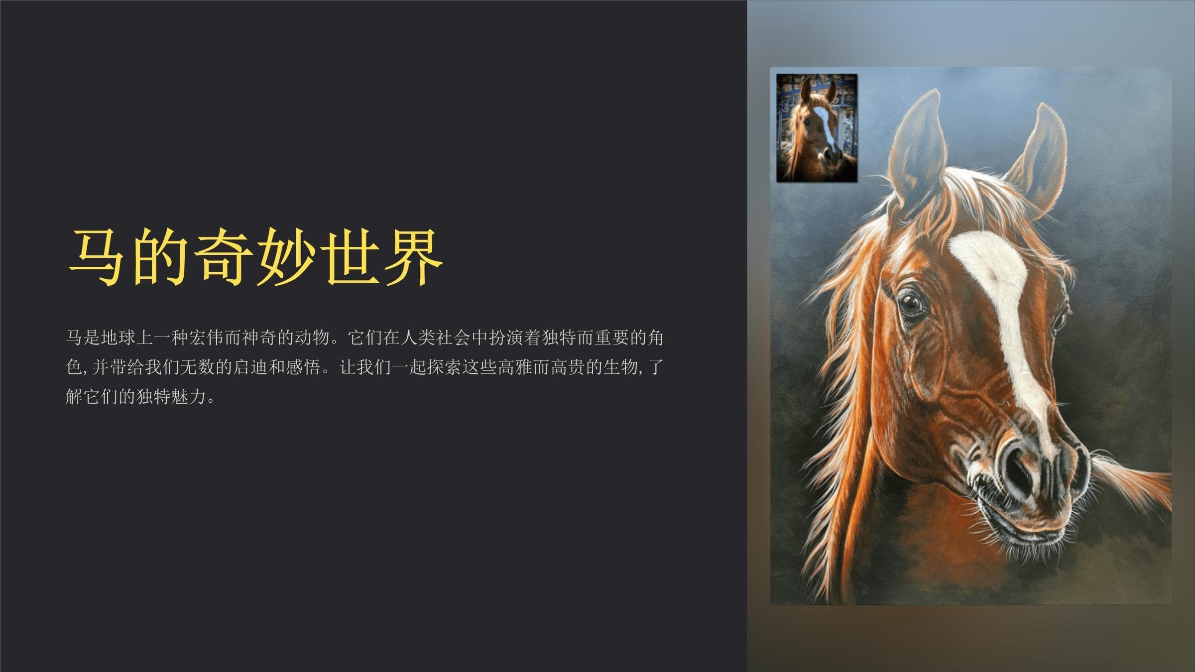 《马的世界》课件