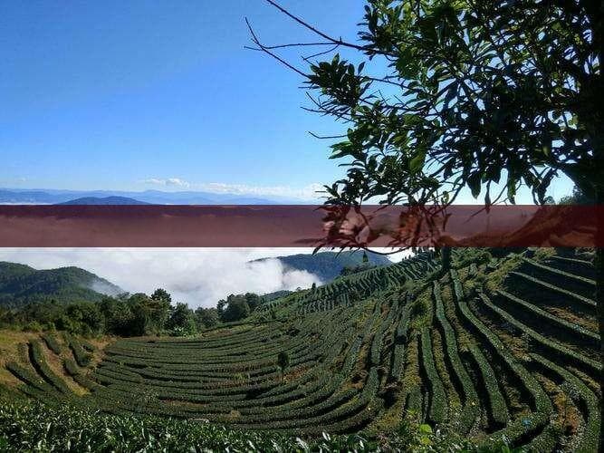 海南文昌属于哪个地级市？属于几线城市？属于什么方向及档次？