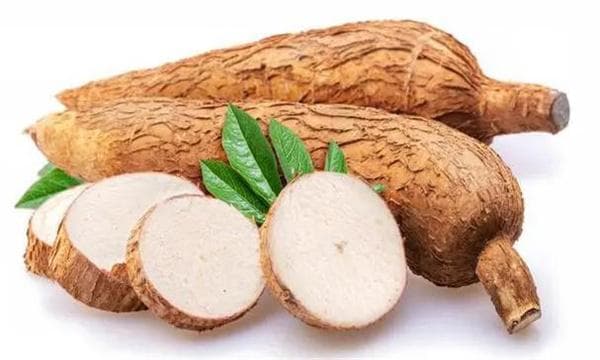 木薯的营养特点 木薯的食用方法和注意事项