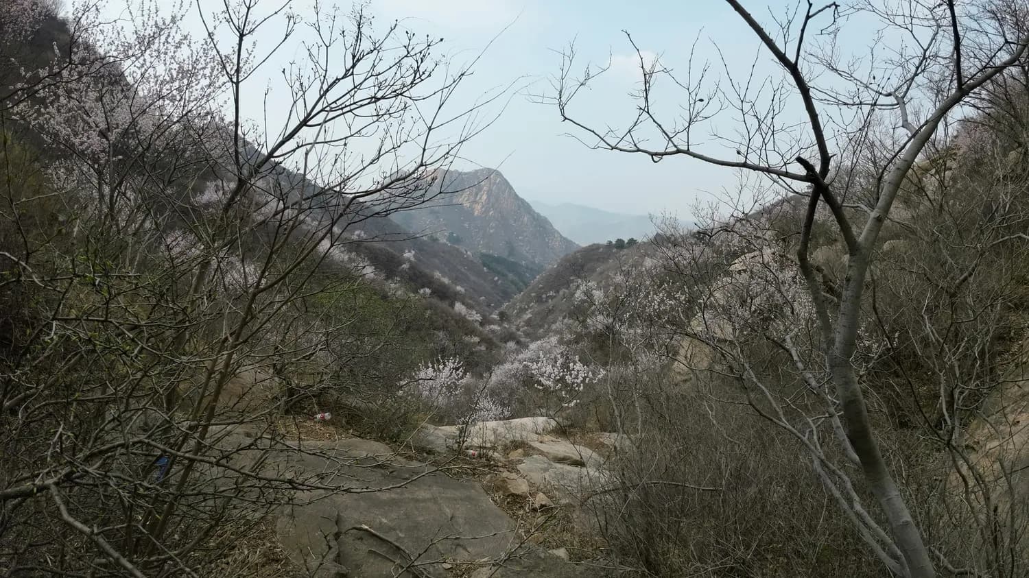 泰山四季游记：总有一季让你心动