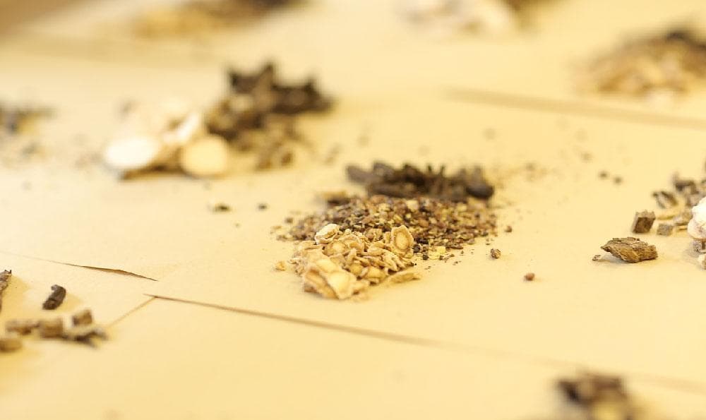 常见中药材的功效（中草药图片大全3000种各作用）