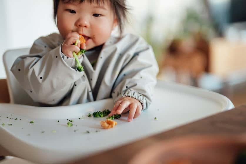 婴儿自主进食与勺子送喂相比营养差异不大