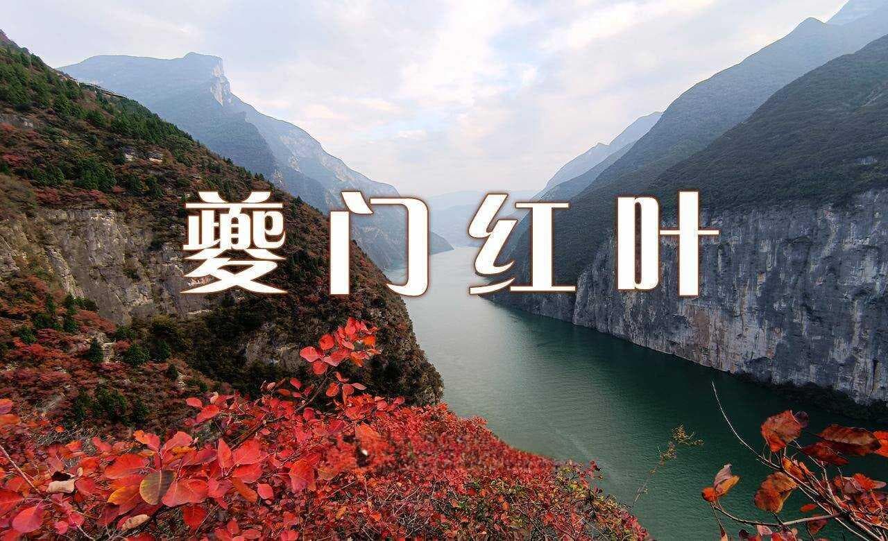徒步三峡之巅——奉节夔门红叶攻略 (观赏时间+地点+行程)