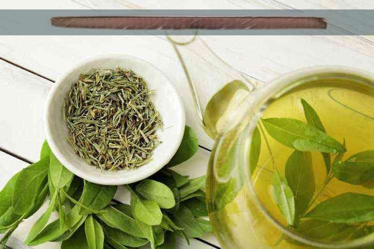 每日养身指南：精选五种茶饮，探寻最适合你的养生茶选择