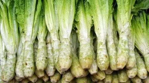 莴苣的热量及营养成分