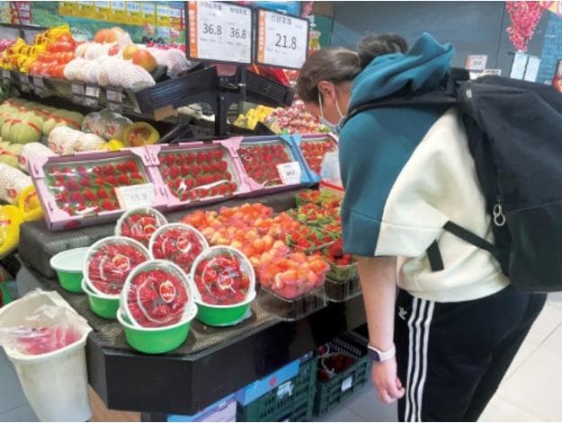 草莓正当时，您最关注的10个问题，专家为您解答