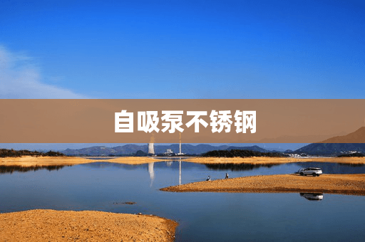 自吸泵不锈钢材质的应用与优势分析