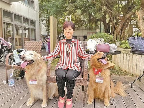 有一种治愈，由可爱的狗狗带来