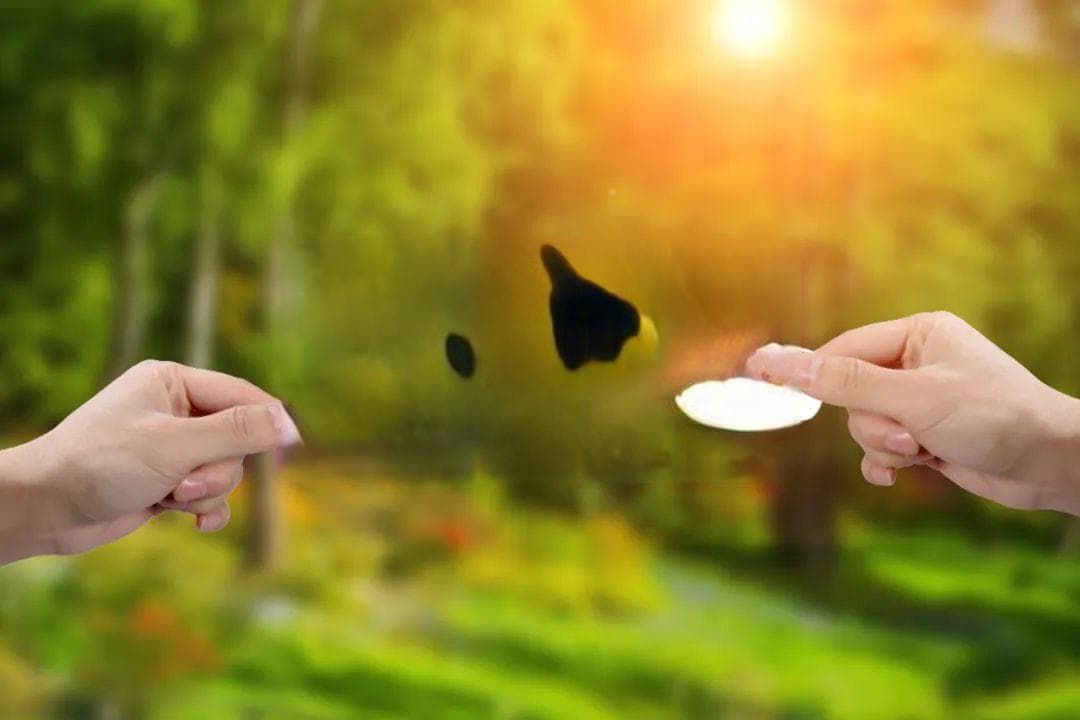 利率仍逾2%，中小银行大额存单热度上升！