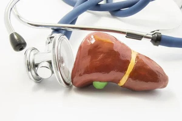 脂肪肝伴转氨酶升高：5种有效治疗方法