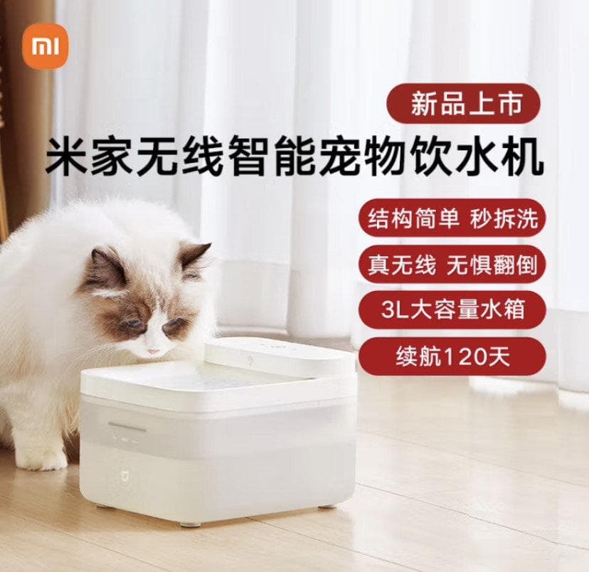 夏季宠物用品介绍及选购指南