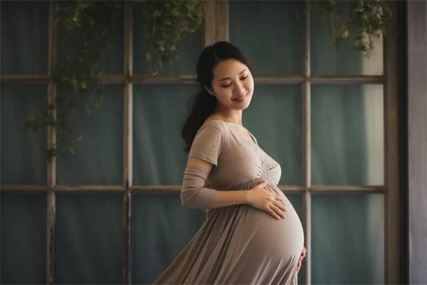 不只人类，还有哪些动物会经历怀孕过程？