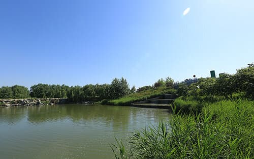 西安浐灞国家湿地公园：一座集生态、科普、休闲于一体的4A级景区