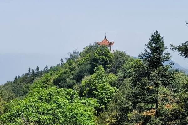 重庆茶山竹海：《十面埋伏》取景地，全年开放AAAA景区