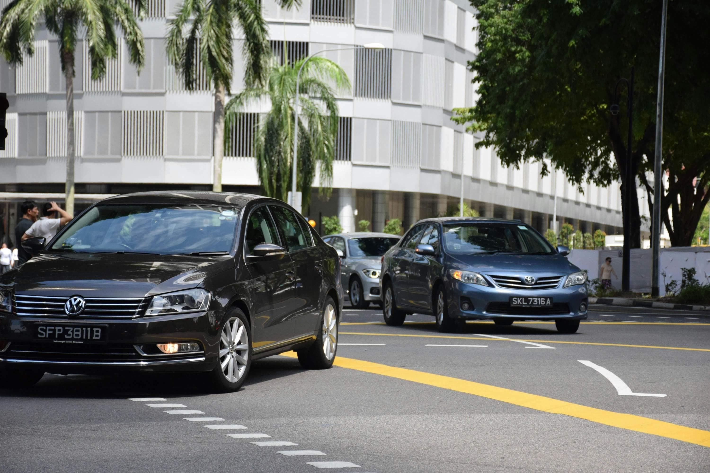 如何有效防止老鼠进入汽车？有哪些实用的预防措施？
