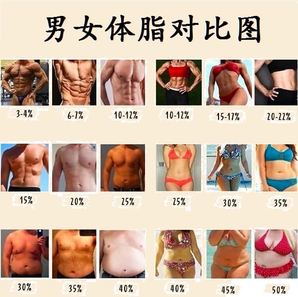 体脂率和BMI的区别，这个你必须要知道