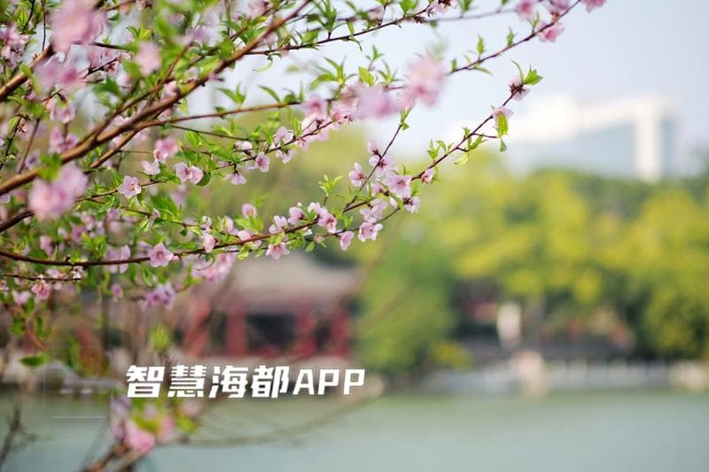 好雨知时节 “雨水”来造访！医生提醒……