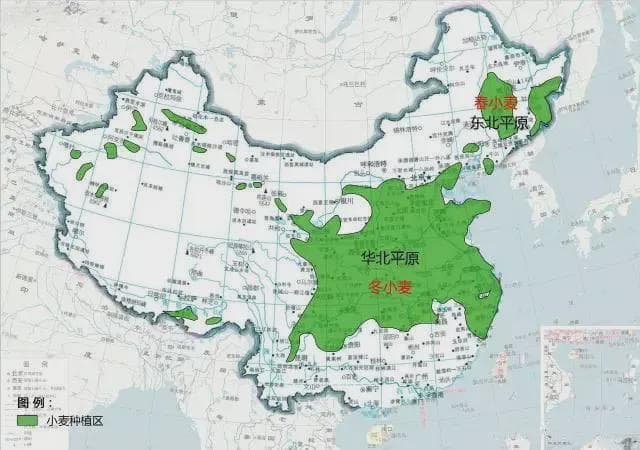 玉米、水稻、小麦全国种植大数据地图
