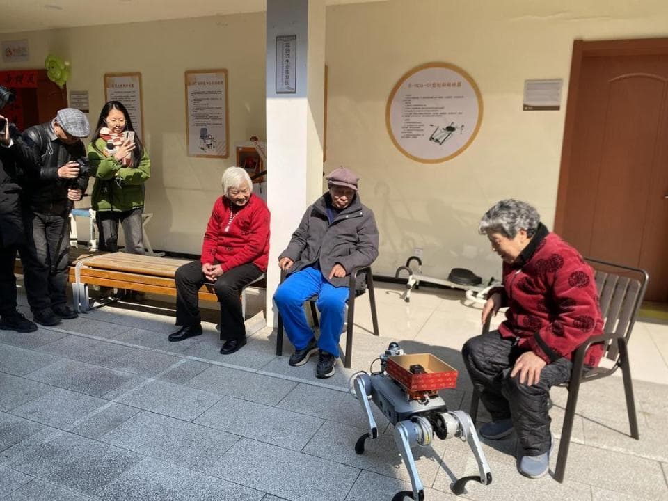 机器狗能成为导盲犬“平替”吗？专家：优势突出但非唯一选项