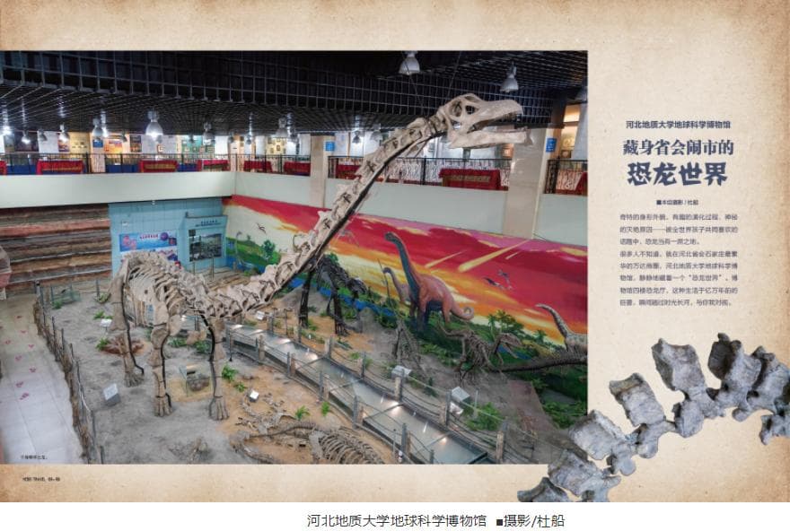 藏身省会闹市的恐龙世界