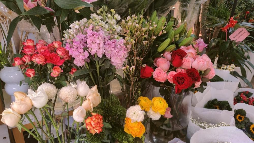 年宵花价格持续升温！玫瑰花将卖到10元每枝