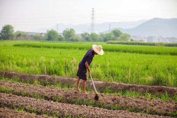 农场土地协议怎么写才有效