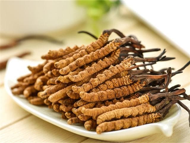 如何鉴别冬虫夏草的真伪？5种常见的鉴别方法
