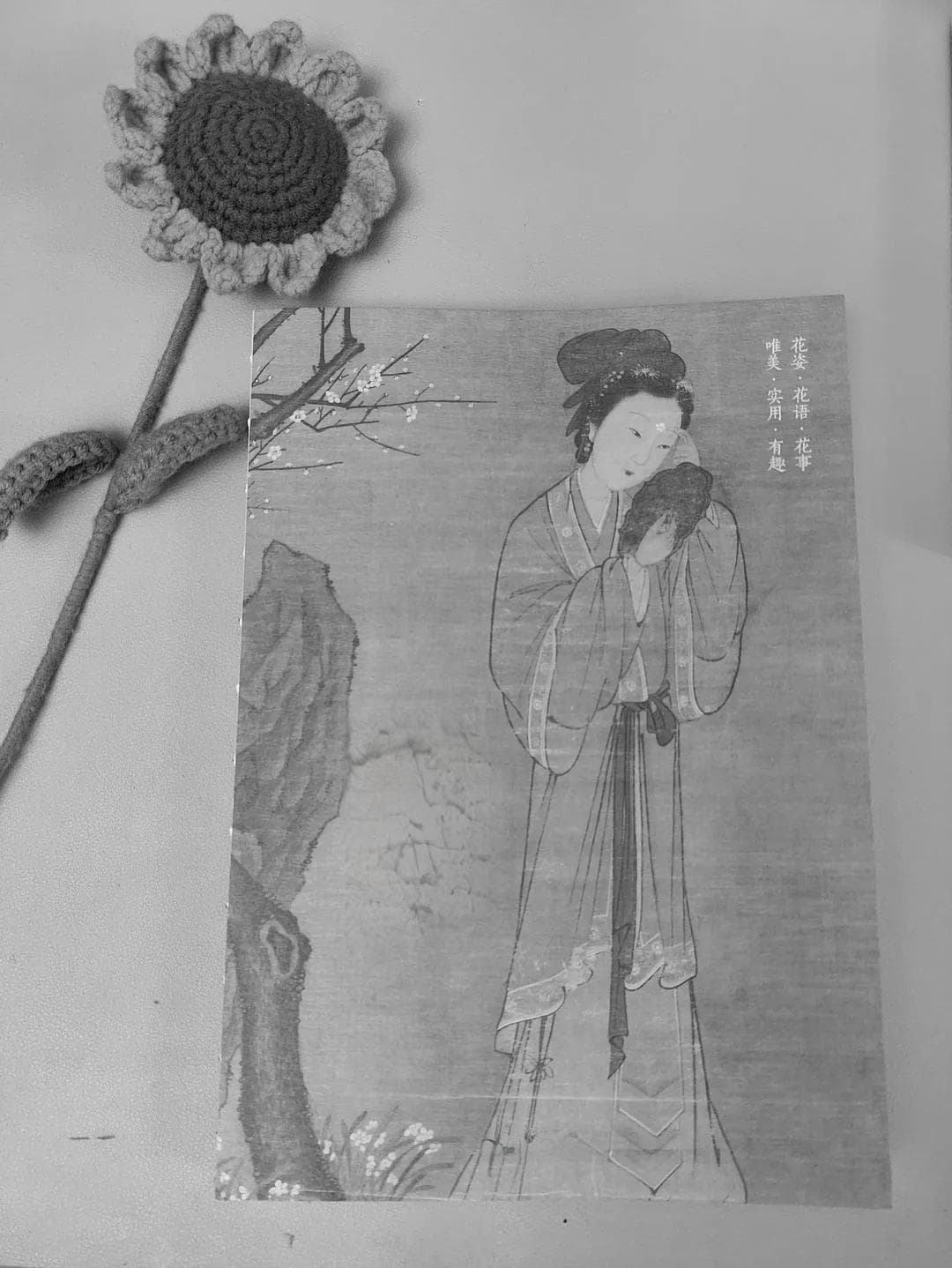 跟着古人去赏花，感受古人的浪漫