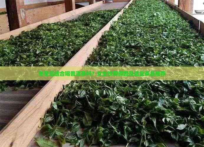 冬至后适合喝普洱茶吗？女生饮用起因及适宜茶品推荐
